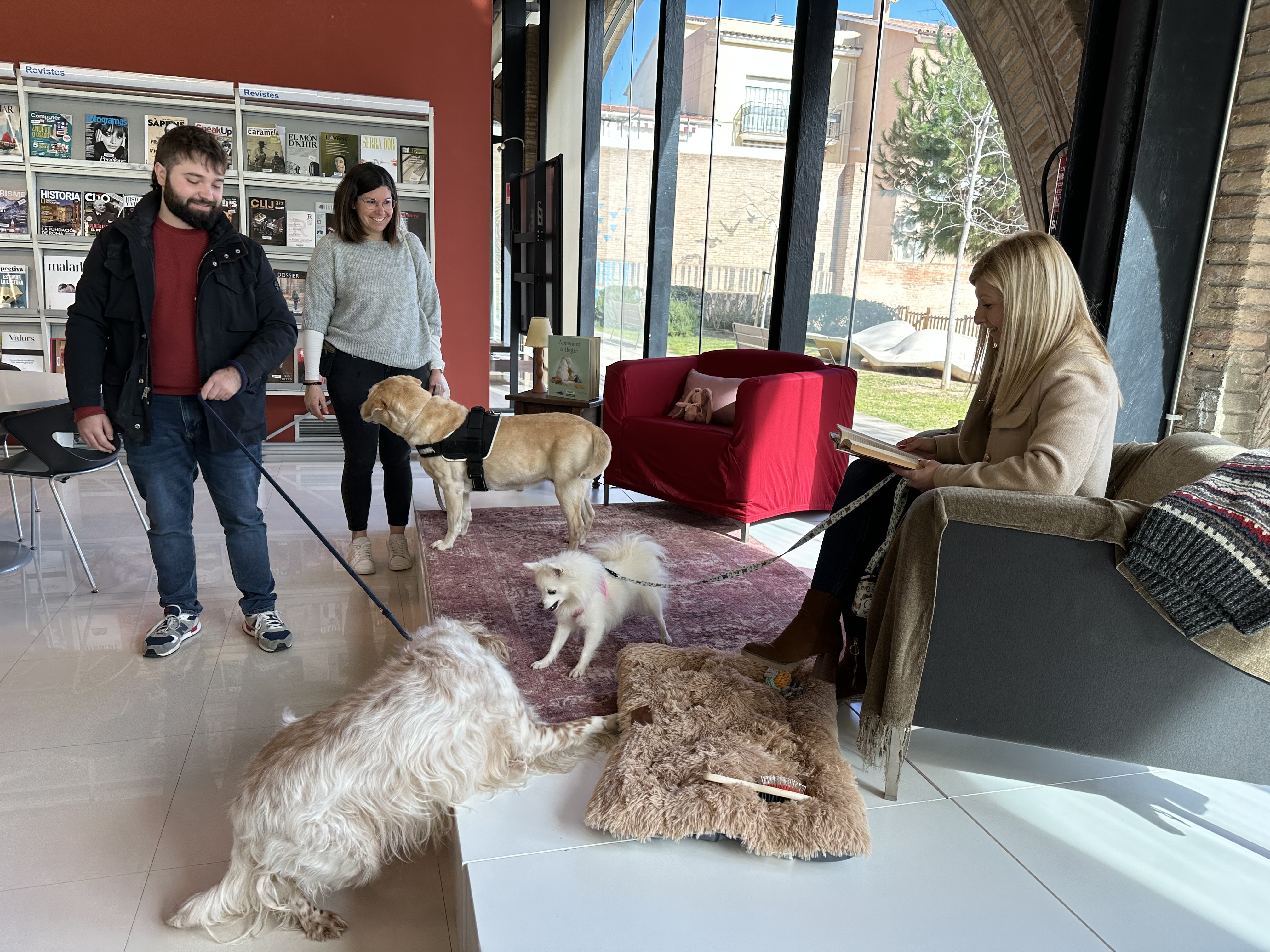 La Biblioteca compta amb espais perquè les mascotes s'hi sentin còmodes