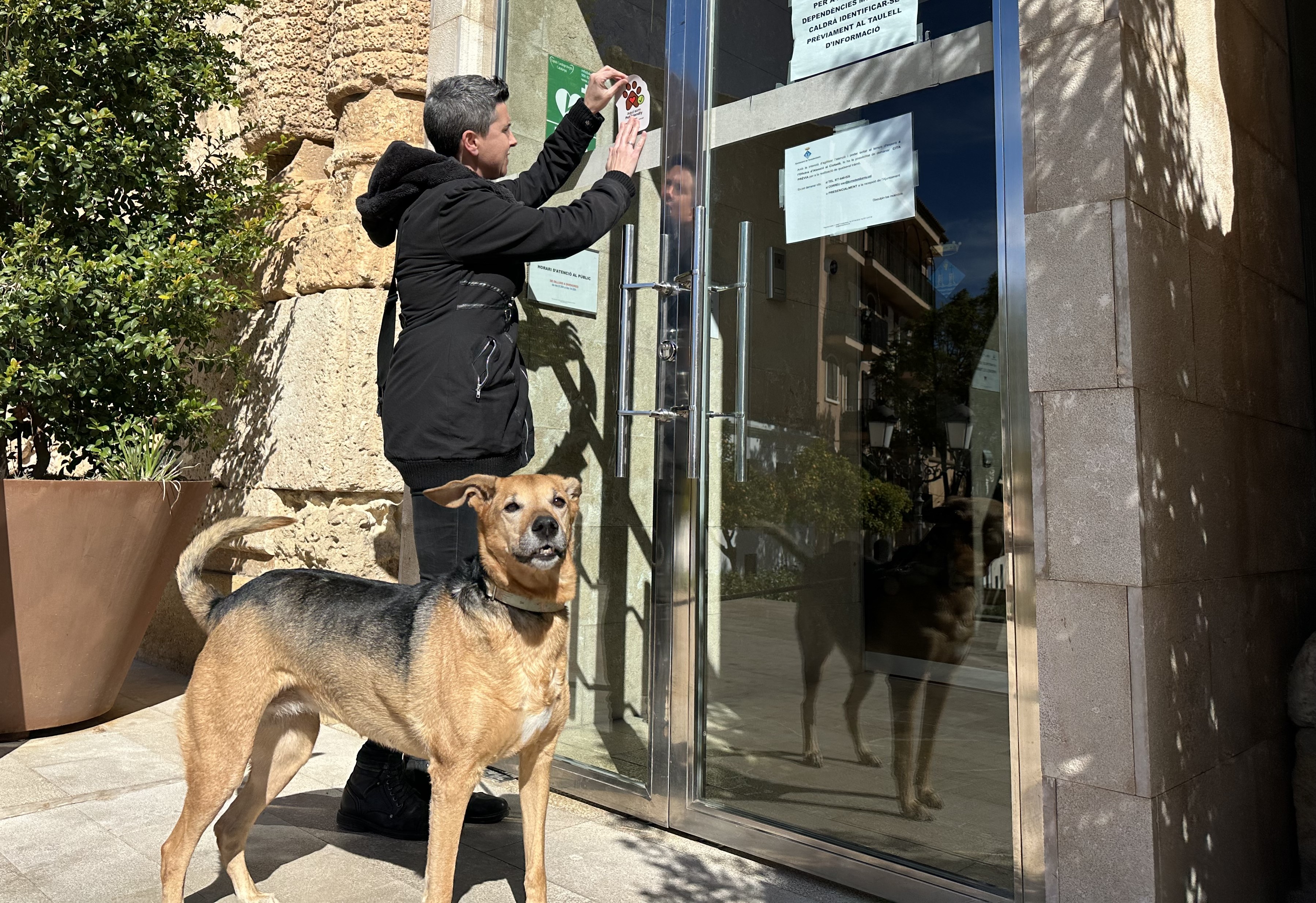 La regidora de Benestar Animal col·loca el distintiu Pet friendly a la porta de l'Ajuntament, acompanyada de l'Ona