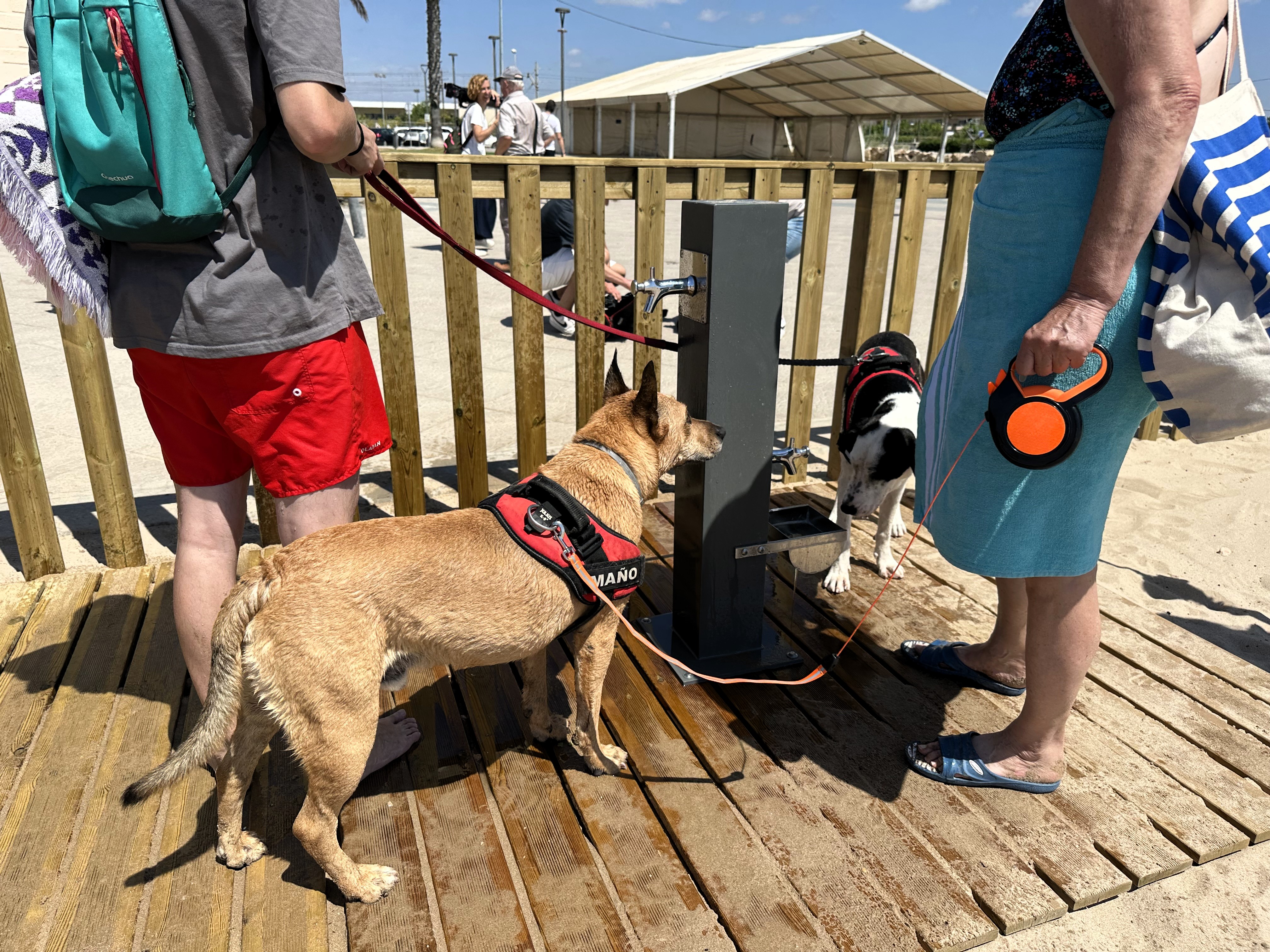Font d'aigua de la platja per a gossos