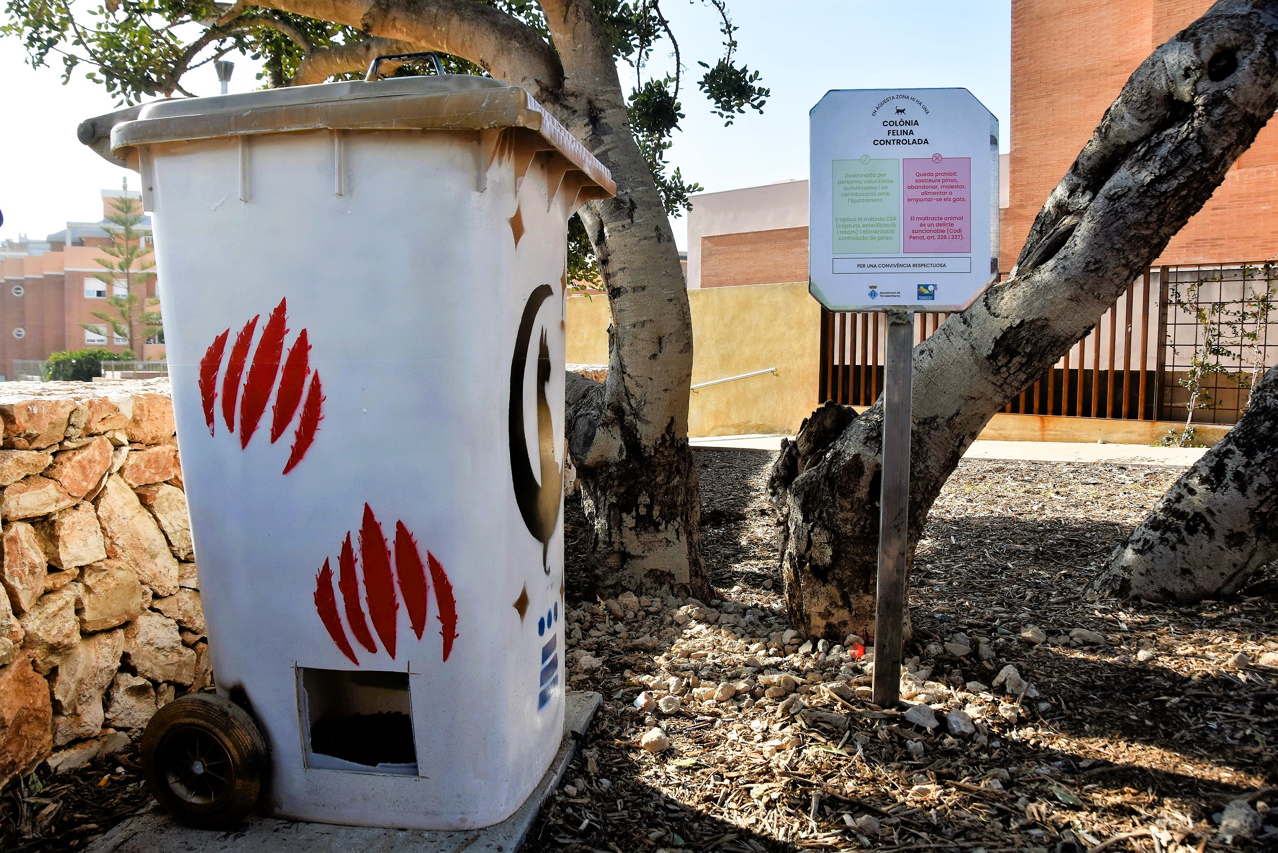 Atipagats en una colònia felina