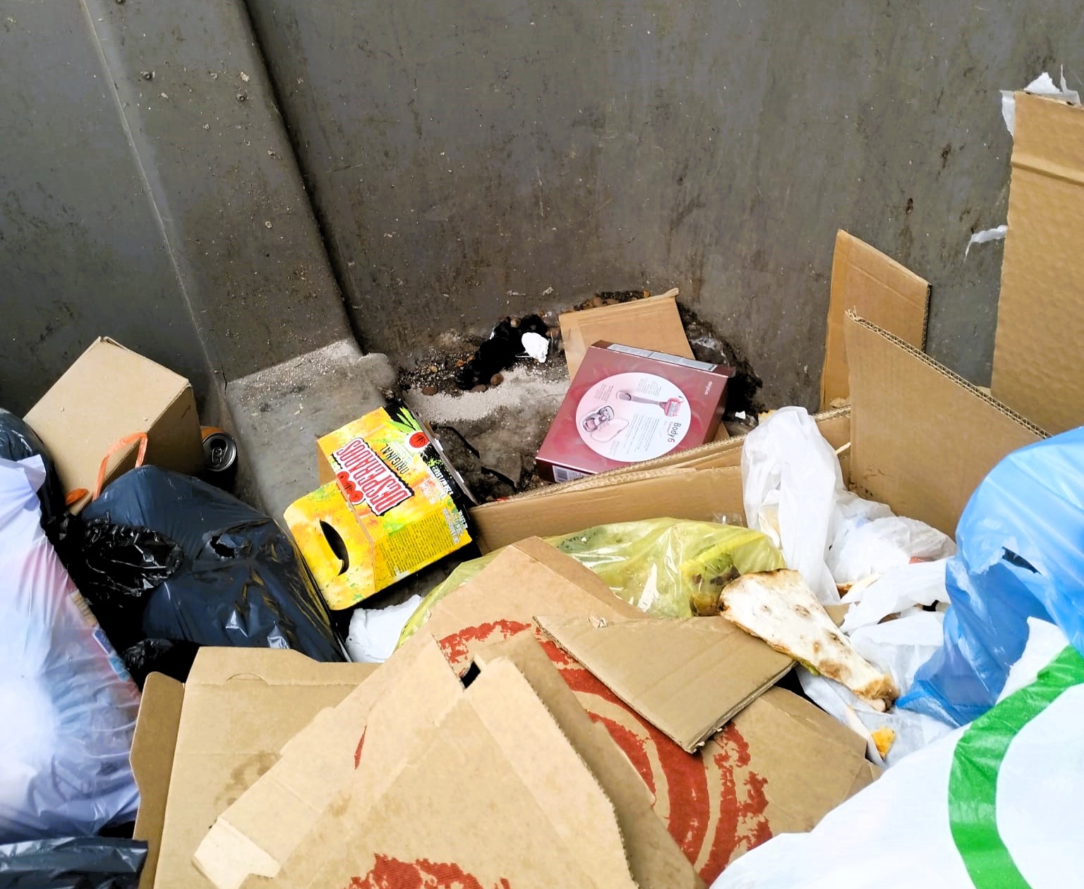 Comunicat de l’equip de govern de condemna del maltractament animal