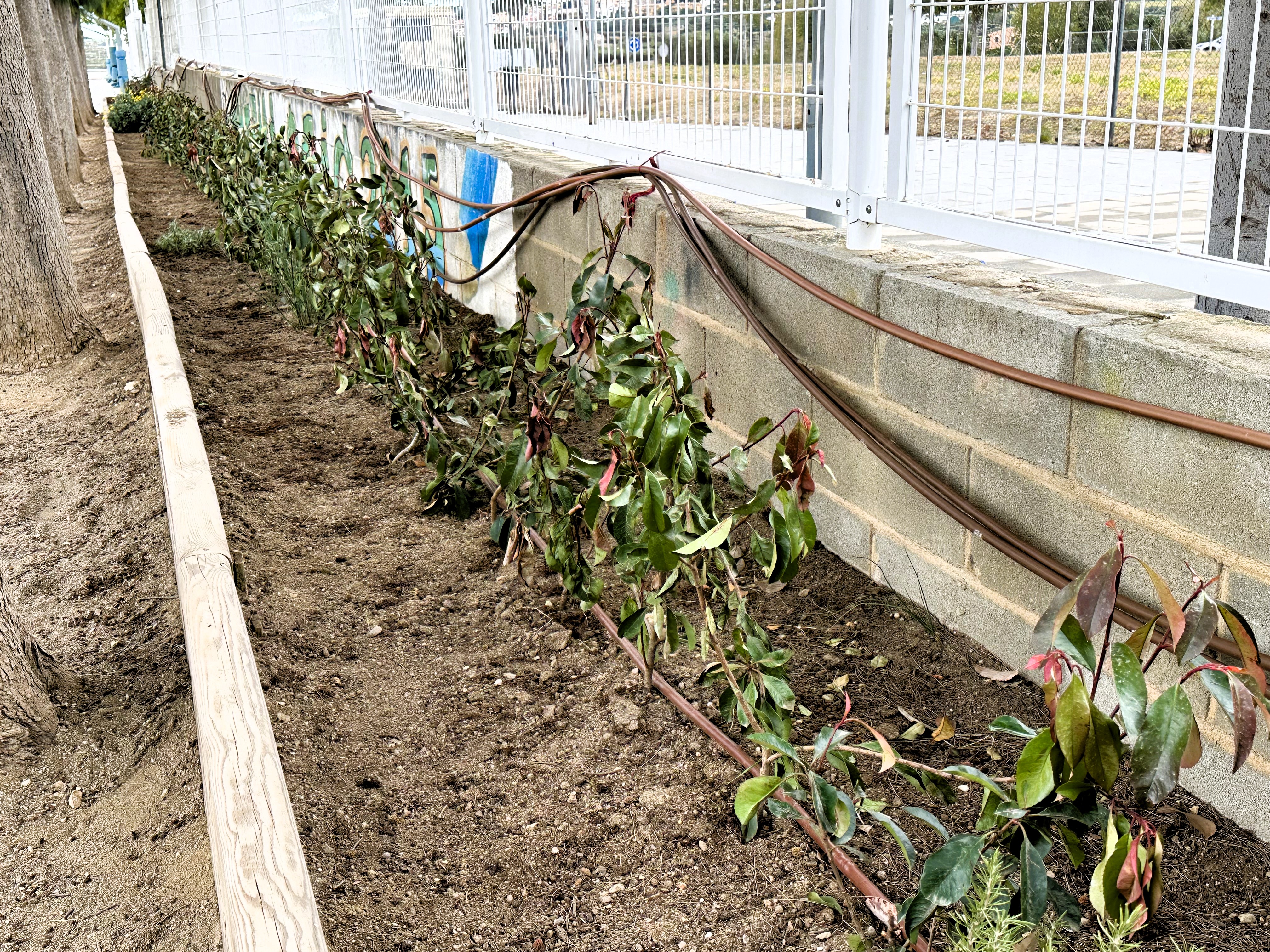 Refugis climàtics als centres educatius