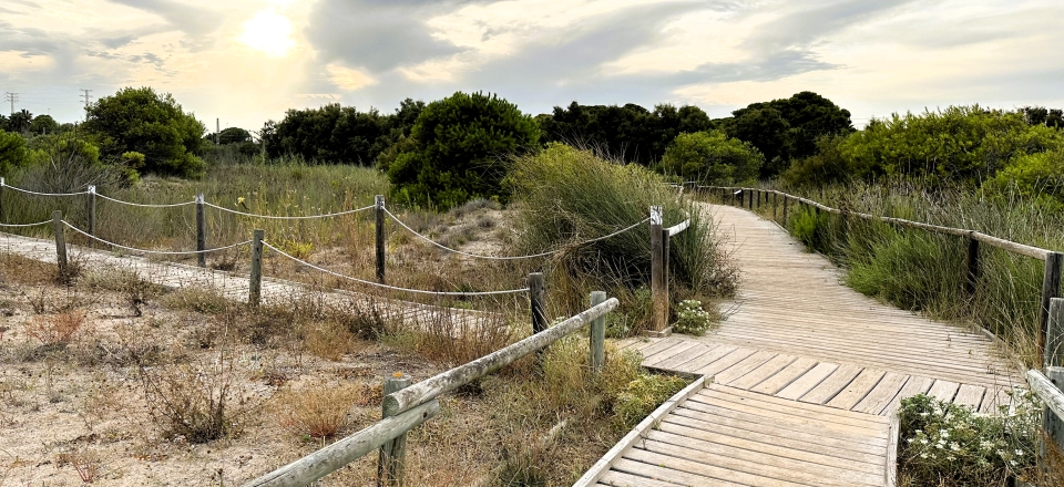 Imatge d'arxiu de la ruta del Sender Blau