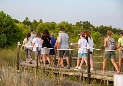 Visites guiades gratuïtes al Sender Blau de Torredembarra