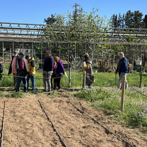 Les persones adjudicatàries, visitant els horts