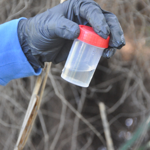 Imatge d'arxiu del tractament contra les larves dels mosquits