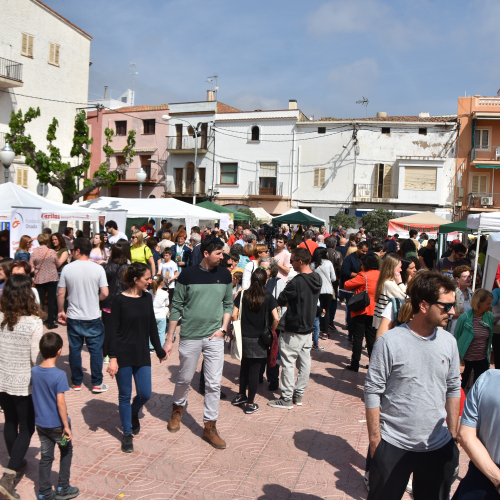 Imatge d'arxiu de la Diada de Sant Jordi del 2023