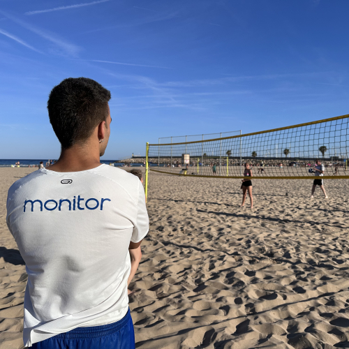 Servei de dinamitzador de platja