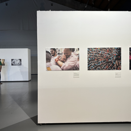 Imatge de l'exposició