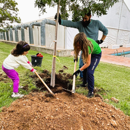 Festa de l'arbre 2024