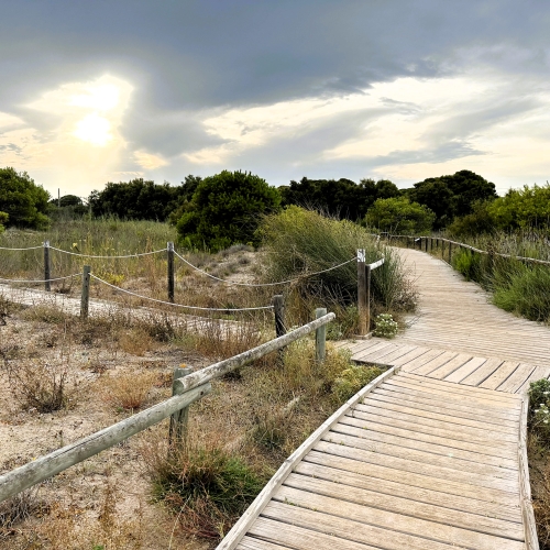 Imatge d'arxiu de la ruta del Sender Blau