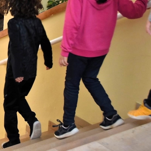 Simulacre centres docents