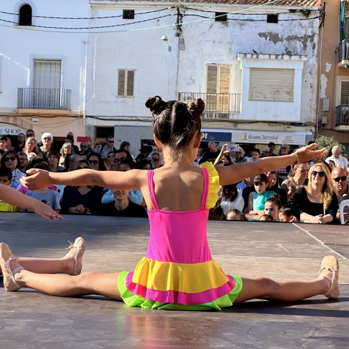 Dia Internacional de la Dansa