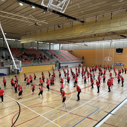 Gimnàstica gent gran