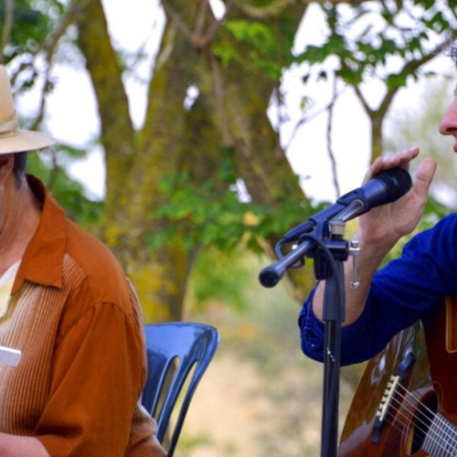 Cicle concerts Sala del Mar