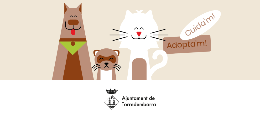 Imatge parcial del fulletó de la campanya