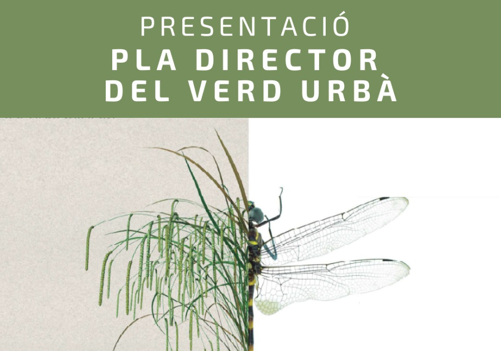 Imatge promocional de la presentació del Pla Director del Verd Urbà