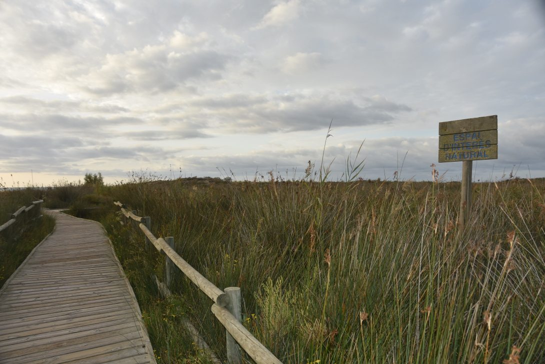 Imatge ruta sender blau