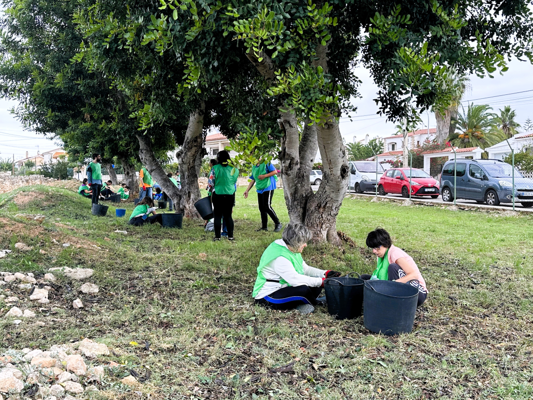 Espigolada de garrofes