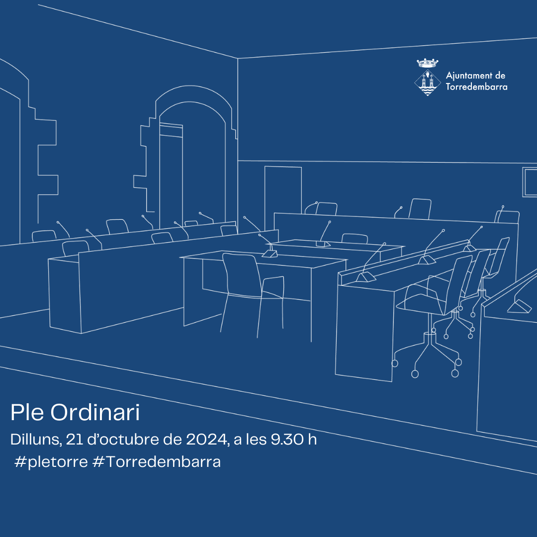 Ple ordinari 21 octubre 2024
