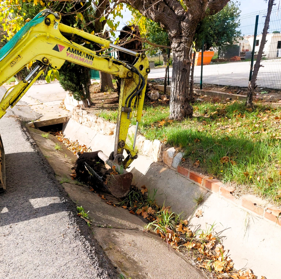 Neteja dels vorals de vies públiques