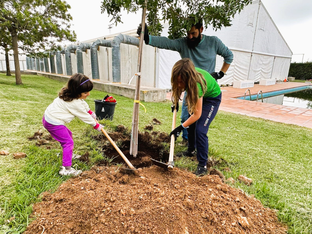 Festa de l'arbre 2024