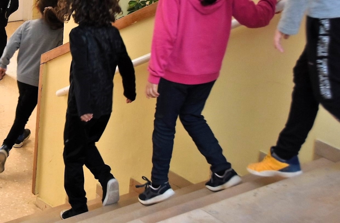 Simulacre centres docents