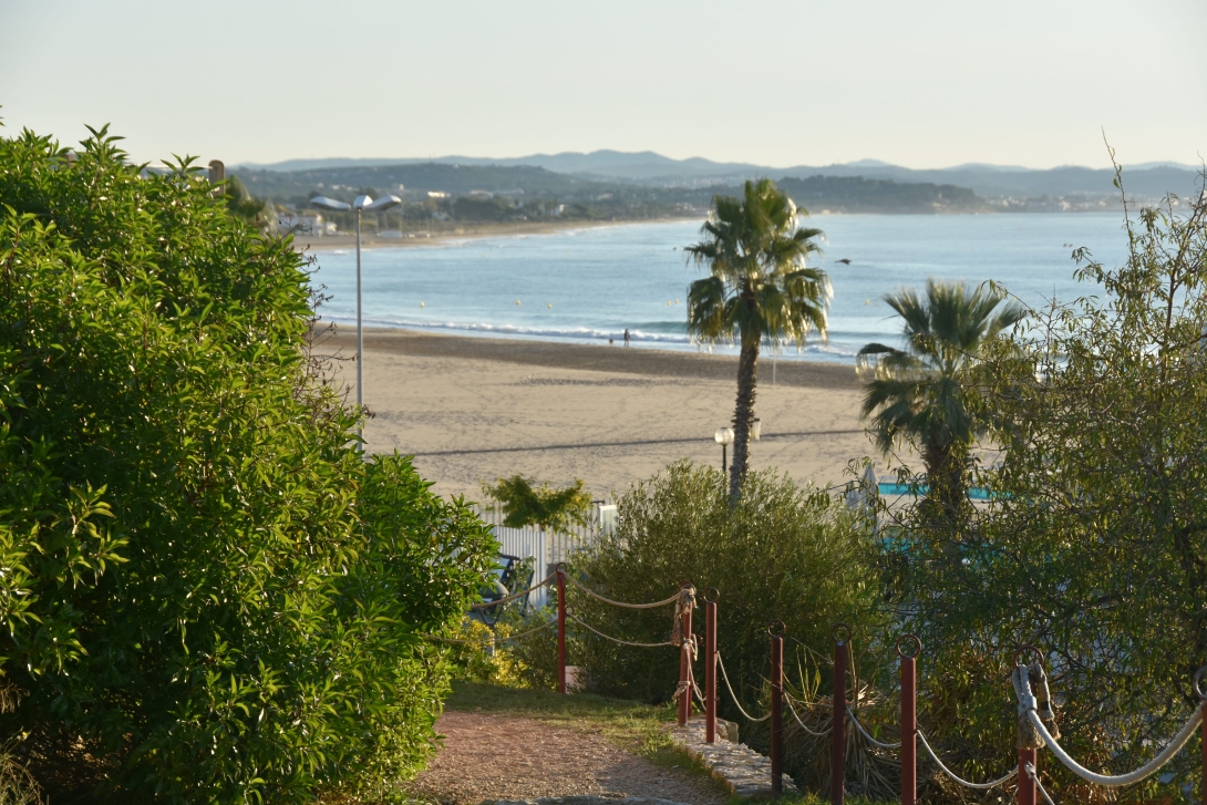 Recurs passejada FotoAmigo