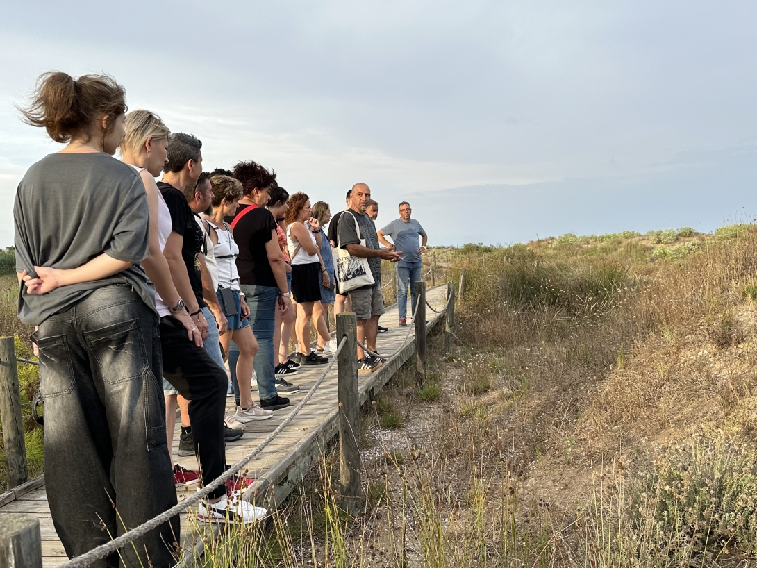 Visites guiades Sender Blau