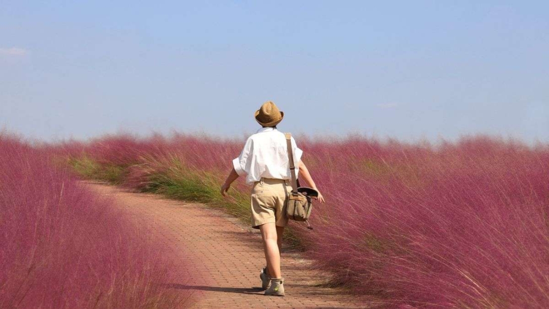 Sessió formativa: Viu la menopausa amb plenitud i equilibri