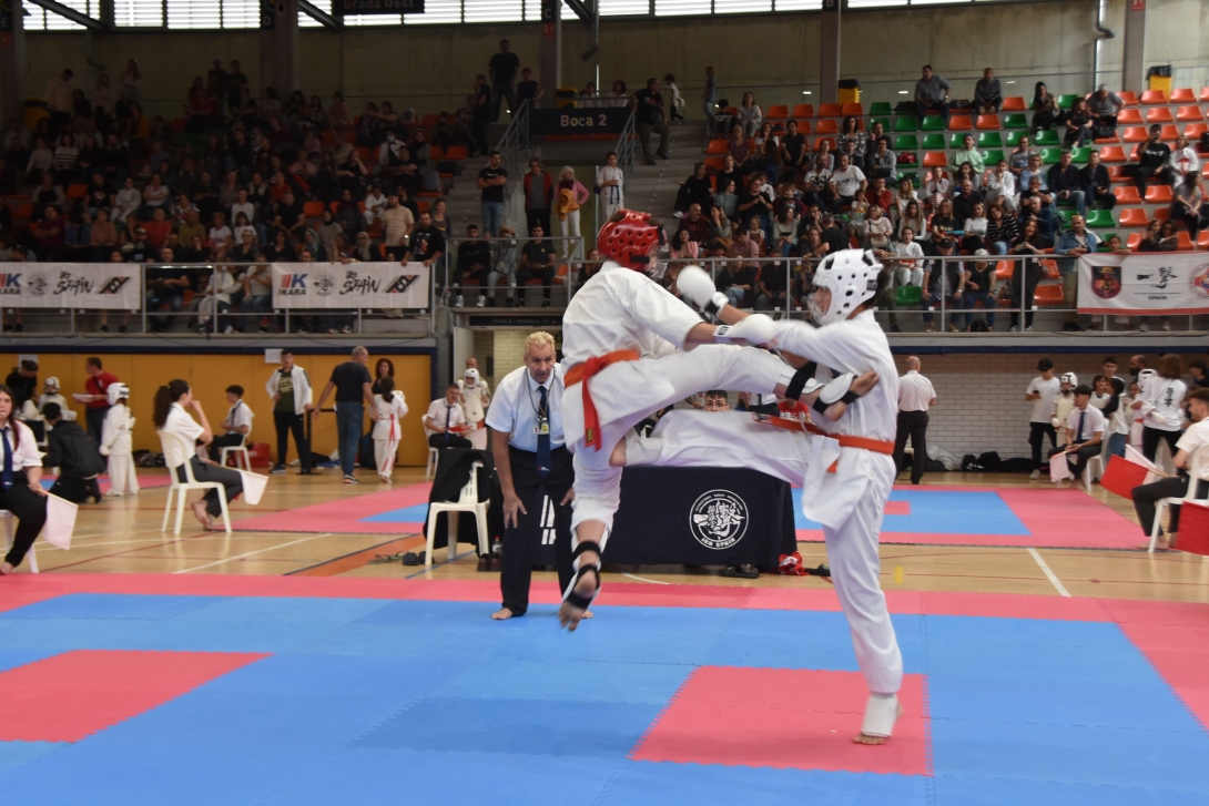 Campionat de Karate