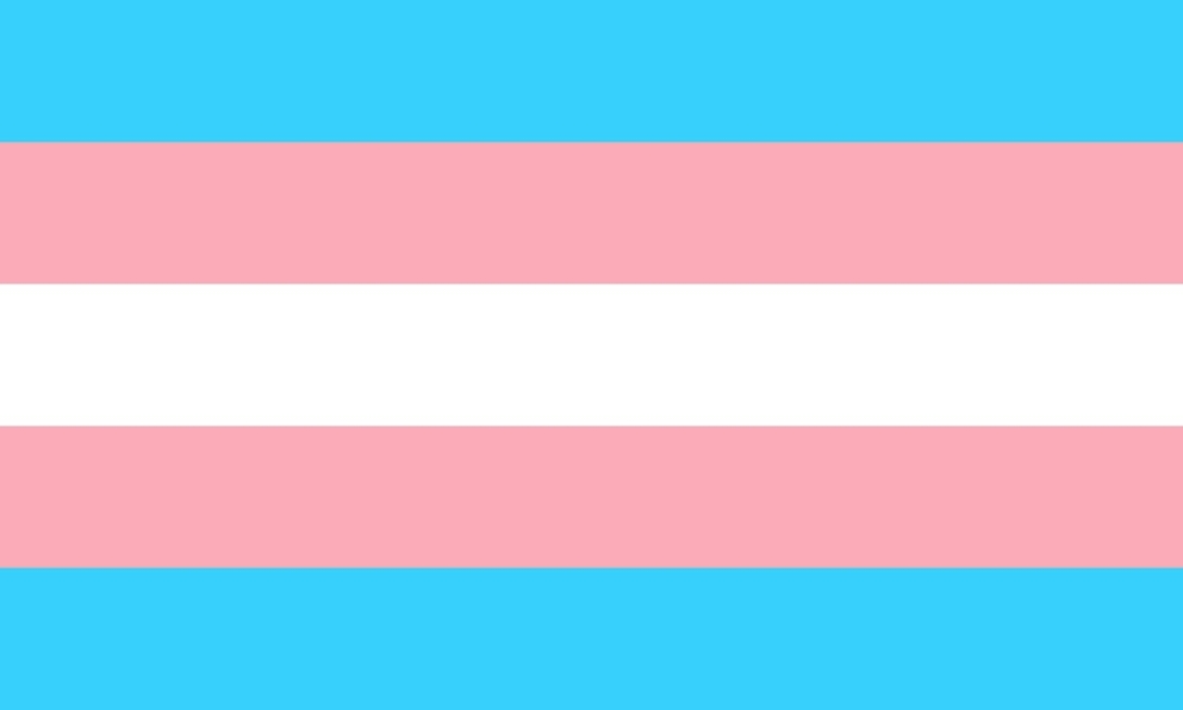Bandera Trans*