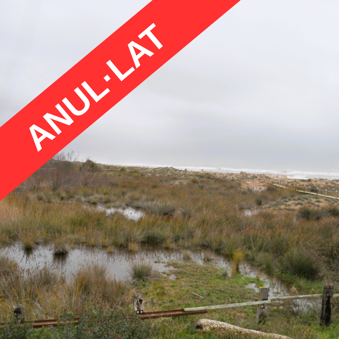 Imatge d'arxiu dels Muntanyans. Foto: Anna F.- Aj.Torredembarra